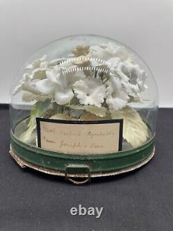 1900 Victorian Cemetry/funeral Immortelle Glass Dome Ceramic Bisque Flowers Dove