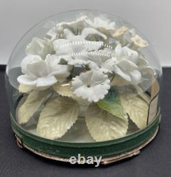 1900 Victorian Cemetry/funeral Immortelle Glass Dome Ceramic Bisque Flowers Dove