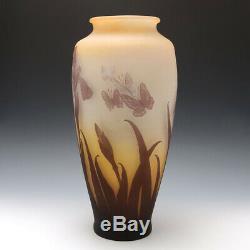 A Very Tall Galle Cameo Glass Vase c1910