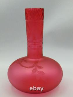 Antique French Cranberry Acid Etched Blooming Flowers Berries Art Glass Cut Vase