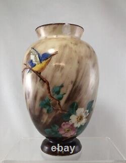 Antique French Hand painted Baccarat Opaline Glass Bird Flowers Brown Vase 8