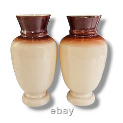 Antique French Opaline Glass Beige Brown Vase Floral Hand Painted Set of (2)