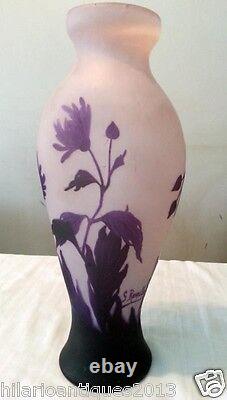 Beautiful 1910 George Raspiller Floral Cameo French Art Nouveau Glass Vase