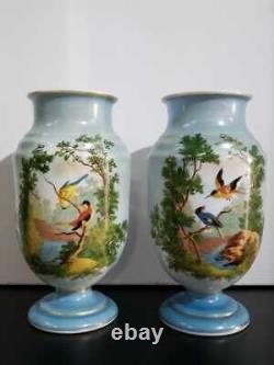 Beautifull pair of French Opaline decorated Vases, XIX Century