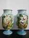 Beautifull pair of French Opaline decorated Vases, XIX Century