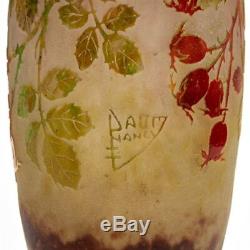 Daum Nancy Art Nouveau Rosehip Cameo Glass Vase C. 1900