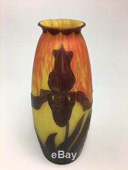 Deque French Cameo Vase Iris With Awesome Colors