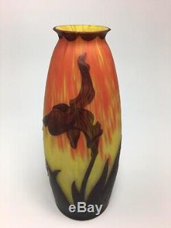 Deque French Cameo Vase Iris With Awesome Colors