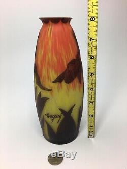 Deque French Cameo Vase Iris With Awesome Colors