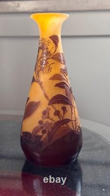 Emile Galle. Eucalyptus vase. Circa 1900
