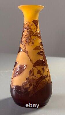Emile Galle. Eucalyptus vase. Circa 1900