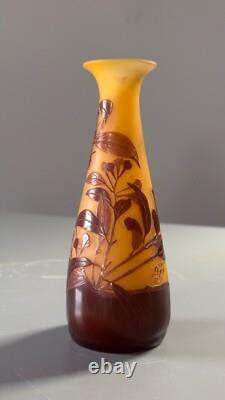 Emile Galle. Eucalyptus vase. Circa 1900