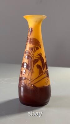 Emile Galle. Eucalyptus vase. Circa 1900