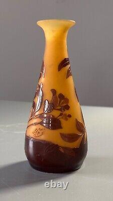 Emile Galle. Eucalyptus vase. Circa 1900