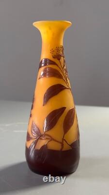 Emile Galle. Eucalyptus vase. Circa 1900