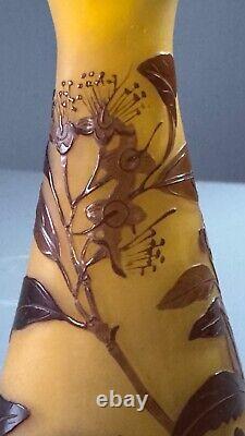 Emile Galle. Eucalyptus vase. Circa 1900