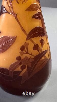 Emile Galle. Eucalyptus vase. Circa 1900