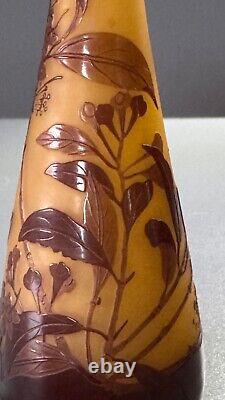 Emile Galle. Eucalyptus vase. Circa 1900