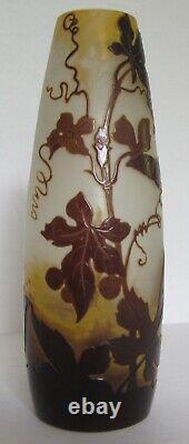 Emile Galléfrench Art Glass Cameo Vasefrosted Bkgndflowers & Vinessigned6