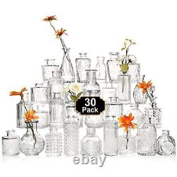 Glass Bud Vase Set of, Small Glass Vases for Flowers, Clear 30 Pcs Clear-style1