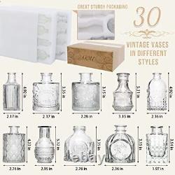 Glass Bud Vase Set of, Small Glass Vases for Flowers, Clear 30 Pcs Clear-style1