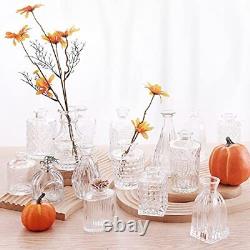 Glass Bud Vase Set of, Small Glass Vases for Flowers, Clear 30 Pcs Clear-style1