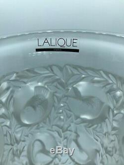 Gorgeous Lalique French Frosted Heavy Crystal Bird Vase Bagatelle Signed Mint