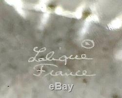 Lalique Art Deco Royat Vase New in Box Signed and Guaranteed Authentic Stunning