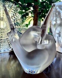 Lalique Sylvie Doves Vase with Frog Flower Insert Mint Signed Authentic Gorgeous