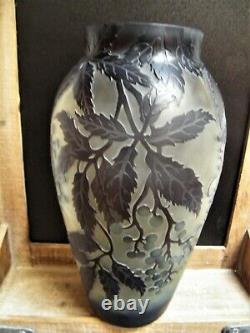 Large Cameo ART Nouveau Glass VASE Galle French Stl Reproduction Acid Etch 12.75