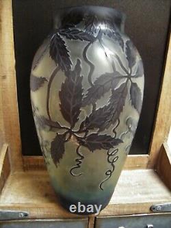 Large Cameo ART Nouveau Glass VASE Galle French Stl Reproduction Acid Etch 12.75