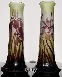 Pair Emile Galle Art nouveau Cameo Iris Vases