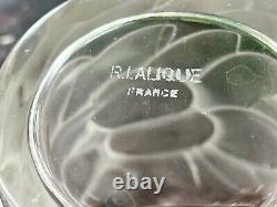 Rare Rene Lalique Blidah Small Vase or Large Tumbler R