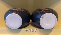 Stunning Pair Antique 19th C French Hand Painted Opaline Signed Baccarat Vases