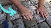 The Brilliant Reason He Lays Ziploc Bags Of Cement In His Backyard