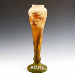 Very Tall Daum Nancy Cameo Vase c1910